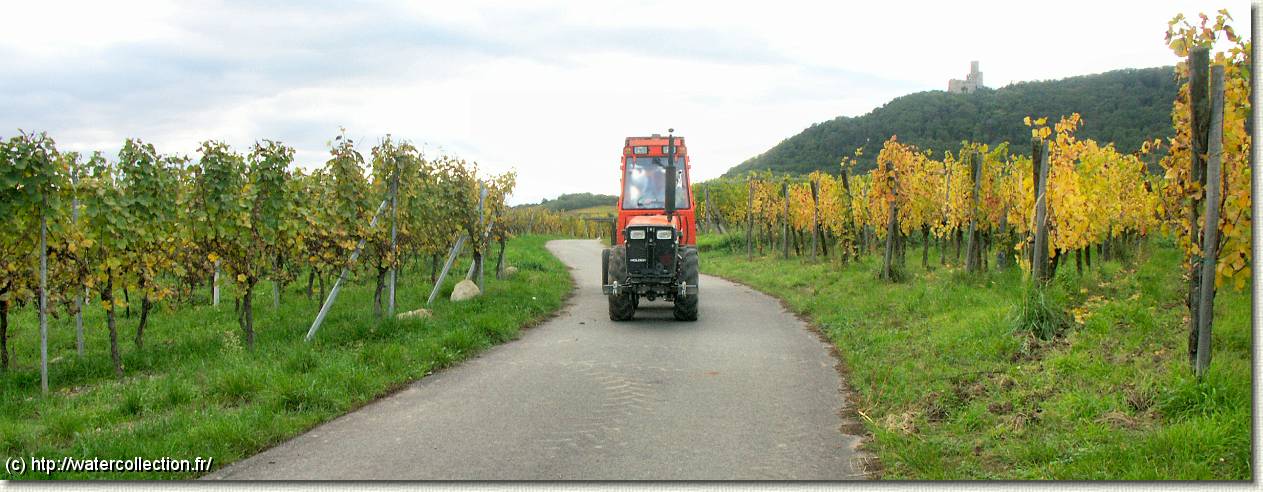 Diapositive suivante